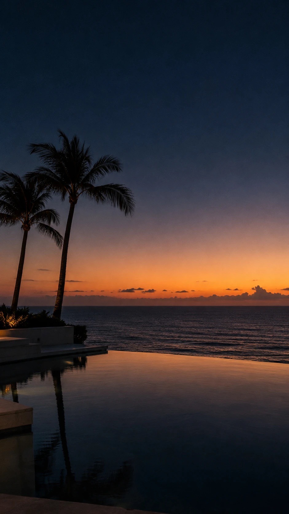 Palm trees beside an oceanfront pool at dusk